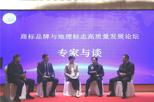 湖北省首届商标品牌与地理标志高质量发展论坛在武汉举行